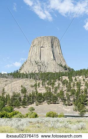 "Monolith, phonolite volcanic rock, basalt, light forest of Ponderosa Pines (Pinus ponderosa), Devils Tower National Monument, Wyoming, USA, United States of America, North America" View Large Photo Image Stock Photography - "Monolith, phonolite volcanic rock, basalt, light forest of Ponderosa Pines (Pinus ponderosa), Devils Tower National Monument, Wyoming, USA, United States of America, North America". Fotosearch