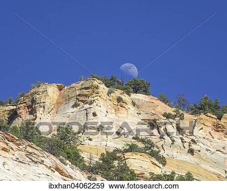 "Moon rising at Checkerboard Mesa, Navajo sandstone, Zion National Park, Springdale, Utah, United States, North America" View Large Photo Image Stock Photo - "Moon rising at Checkerboard Mesa, Navajo sandstone, Zion National Park, Springdale, Utah, United States, North America". Fotosearch