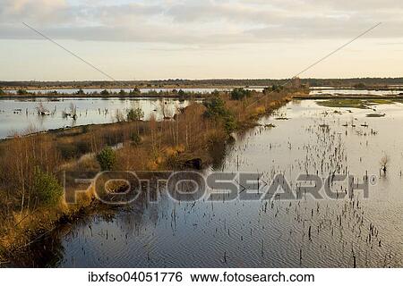 Stock Photograph - "Moor landscape, Tister Bauernmoor nature reserve, Lower Saxony, Germany, Europe". Fotosearch