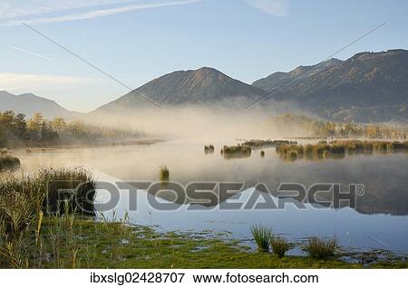 "Moorland with morning fog, alpine foothills, Grundbeckenmoor marsh, Nicklheim, Bavaria, Germany, Europe" View Large Photo Image Stock Photo - "Moorland with morning fog, alpine foothills, Grundbeckenmoor marsh, Nicklheim, Bavaria, Germany, Europe". Fotosearch