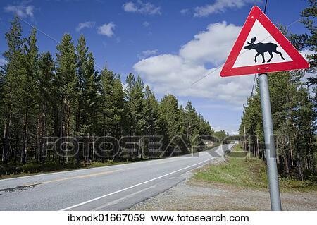 "Moose warning sign, Norway, Scandinavia, Europe" View Large Photo Image Stock Photo - "Moose warning sign, Norway, Scandinavia, Europe". Fotosearch