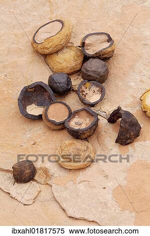 "Moqui Marbles, Utah, USA, America" View Large Photo Image Stock Photography - "Moqui Marbles, Utah, USA, America". Fotosearch