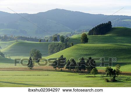 Stock Photo - "Morainic landscape, Hirzel area, Zurich, Switzerland, Europe". Fotosearch