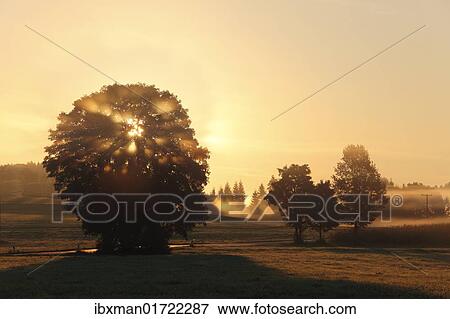 "Morning at Dietramszell, Upper Bavaria, Bavaria, Germany, Europe" View Large Photo Image Stock Photo - "Morning at Dietramszell, Upper Bavaria, Bavaria, Germany, Europe". Fotosearch