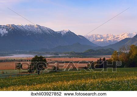 Stock Image - "Morning atmosphere in Murnau Moor, Murnauer Moos, Ester Mountains, Murnau, Blaues Land region, Upper Bavaria, Bavaria, Germany, Europe". Fotosearch