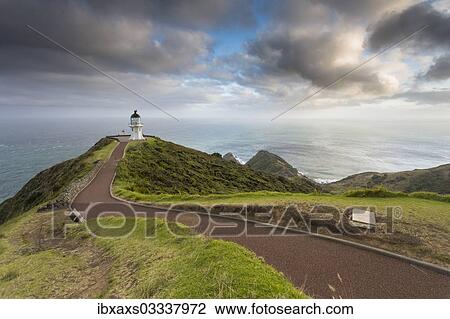 "Morning clouds at Cape Reinga, Cape Reinga, Northland Region, New Zealand, Oceania" View Large Photo Image Stock Image - "Morning clouds at Cape Reinga, Cape Reinga, Northland Region, New Zealand, Oceania". Fotosearch