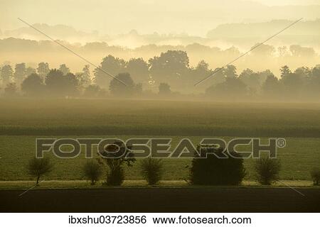 "Morning fog atmosphere in Reuss Valley, Aristau, Canton of Aargau, Switzerland, Europe" View Large Photo Image Stock Photograph - "Morning fog atmosphere in Reuss Valley, Aristau, Canton of Aargau, Switzerland, Europe". Fotosearch