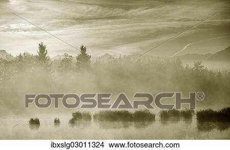 "Morning fog over a moor pond, Nicklheim; Voralpenland, Raubling, Bavaria, Germany, Europe" View Large Photo Image Picture - "Morning fog over a moor pond, Nicklheim; Voralpenland, Raubling, Bavaria, Germany, Europe". Fotosearch