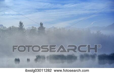 "Morning fog over a moor pond, Nicklheim; Voralpenland, Raubling, Bavaria, Germany, Europe" View Large Photo Image Stock Image - "Morning fog over a moor pond, Nicklheim; Voralpenland, Raubling, Bavaria, Germany, Europe". Fotosearch