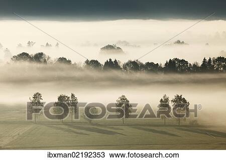 "Morning fog over Loisach Moor or Loisach-Kochelsee-Moor near Grossweil, Blaues Land region, Upper Bavaria, Bavaria, Germany, Europe" View Large Photo Image Stock Image - "Morning fog over Loisach Moor or Loisach-Kochelsee-Moor near Grossweil, Blaues Land region, Upper Bavaria, Bavaria, Germany, Europe". Fotosearch