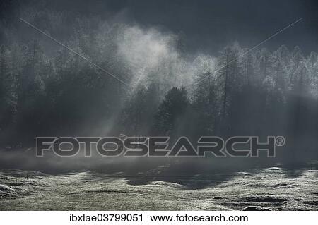 "Morning fog, Samedan, Graubunden, Switzerland, Europe" View Large Photo Image Stock Image - "Morning fog, Samedan, Graubunden, Switzerland, Europe". Fotosearch