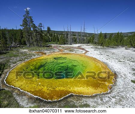 "Morning Glory Pool, Yellowstone National Park, Wyoming, United States, North America" View Large Photo Image Stock Image - "Morning Glory Pool, Yellowstone National Park, Wyoming, United States, North America". Fotosearch