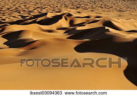 "Morning light on the sanddunes at Erg Tihoulahoun, Erg Tihoulahoun, Immidir or Mouydir, Sahara, Tamanrasset Province, Algeria, Africa" View Large Photo Image Stock Image - "Morning light on the sanddunes at Erg Tihoulahoun, Erg Tihoulahoun, Immidir or Mouydir, Sahara, Tamanrasset Province, Algeria, Africa". Fotosearch
