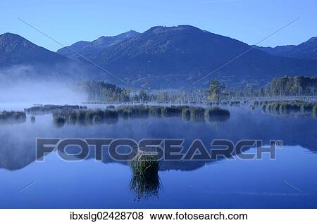 "Morning mist over moorland, alpine foothills, Grundbeckenmoor marsh, Nicklheim, Bavaria, Germany, Europe" View Large Photo Image Stock Photo - "Morning mist over moorland, alpine foothills, Grundbeckenmoor marsh, Nicklheim, Bavaria, Germany, Europe". Fotosearch