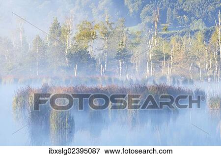"Morning mist over moorland pond, Nicklheim, Bavaria, Germany, Europe" View Large Photo Image Stock Photo - "Morning mist over moorland pond, Nicklheim, Bavaria, Germany, Europe". Fotosearch