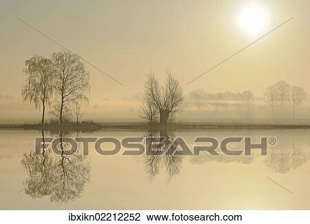 "Morning mood at a lake at sunrise, near Tangstedt, Schleswig-Holstein, Germany, Europe" View Large Photo Image Stock Image - "Morning mood at a lake at sunrise, near Tangstedt, Schleswig-Holstein, Germany, Europe". Fotosearch
