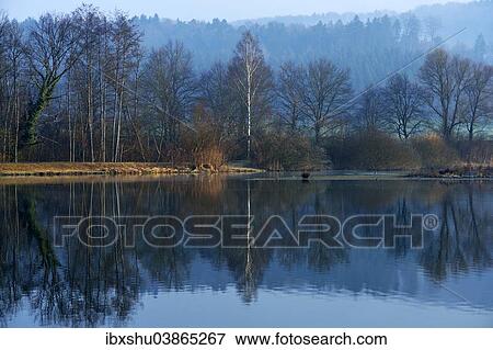 Stock Photo - "Morning mood in the Naturschutzgebiet Flachsee nature reserve in Rottenschwil, Canton of Aargau, Switzerland, Europe". Fotosearch