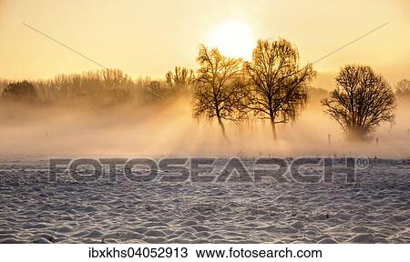 "Morning winter landscape, Schildow, Brandenburg, Germany, Europe" View Large Photo Image Stock Image - "Morning winter landscape, Schildow, Brandenburg, Germany, Europe". Fotosearch