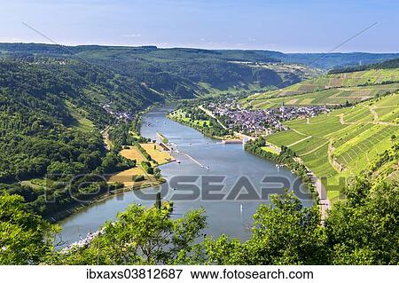 "Moselle River with the village of Enkirch surrounded by vineyards, Bernkastel-Wittlich, Rhineland-Palatinate, Germany, Europe" View Large Photo Image Stock Photo - "Moselle River with the village of Enkirch surrounded by vineyards, Bernkastel-Wittlich, Rhineland-Palatinate, Germany, Europe". Fotosearch