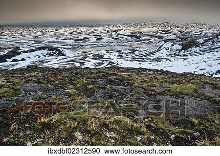 "Moss and snow, winter landscape, Icelandic Highlands, Iceland, Europe" View Large Photo Image Stock Image - "Moss and snow, winter landscape, Icelandic Highlands, Iceland, Europe". Fotosearch