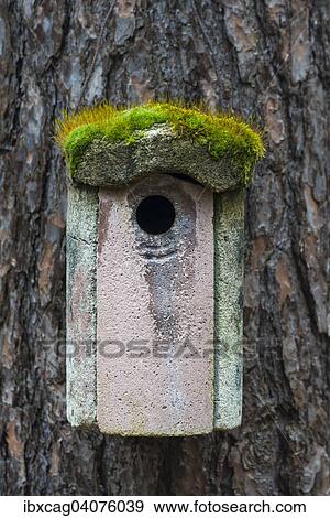 "Moss-covered bird house, Hesse, Germany, Europe" View Large Photo Image Stock Photo - "Moss-covered bird house, Hesse, Germany, Europe". Fotosearch