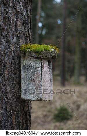 "Moss-covered bird house, Hesse, Germany, Europe" View Large Photo Image Stock Photo - "Moss-covered bird house, Hesse, Germany, Europe". Fotosearch