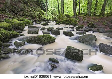"Mossy rocks in Monbach creek, Black Forest, Baden-Wuerttemberg, Germany, Europe" View Large Photo Image Stock Image - "Mossy rocks in Monbach creek, Black Forest, Baden-Wuerttemberg, Germany, Europe". Fotosearch