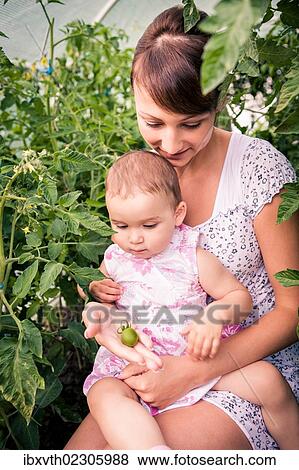 Mother and her little daughter with unripe tomato View Large Photo Image Stock Photo - Mother and her little daughter with unripe tomato. Fotosearch