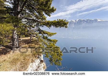 "Mountain climber during the ascent from Campione to the church of Madonnina di Monte Castello, with Lake Garda below and the village of Malcesine in the distance, Brescia, Italy, Europe" View Large Photo Image Stock Photograph - "Mountain climber during the ascent from Campione to the church of Madonnina di Monte Castello, with Lake Garda below and the village of Malcesine in the distance, Brescia, Italy, Europe". Fotosearch