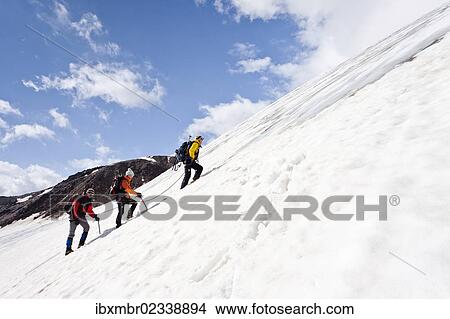 "Mountain climbers on Zufallferner Glacier in the Martell Valley above Marteller Huette hut on a route over the flank, Alto Adige, Italy, Europe" View Large Photo Image Picture - "Mountain climbers on Zufallferner Glacier in the Martell Valley above Marteller Huette hut on a route over the flank, Alto Adige, Italy, Europe". Fotosearch