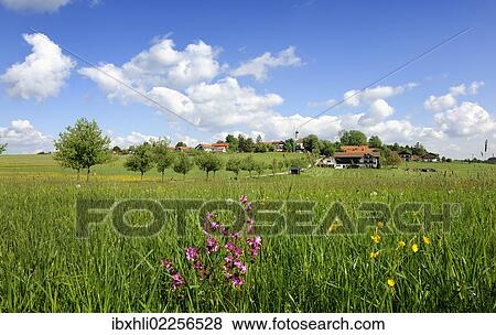 "Mountain, Eurasburg, Upper Bavaria, Bavaria, Germany, Europe, PublicGround, Europe" View Large Photo Image Stock Photo - "Mountain, Eurasburg, Upper Bavaria, Bavaria, Germany, Europe, PublicGround, Europe". Fotosearch