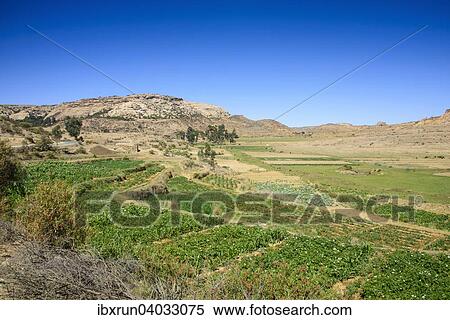 "Mountain landscape along the road from Asmarra to Qohaito, Eritrea, Africa" View Large Photo Image Stock Photography - "Mountain landscape along the road from Asmarra to Qohaito, Eritrea, Africa". Fotosearch