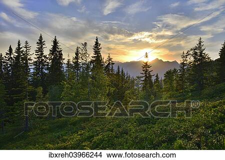 "Mountain landscape, Naunz, the Karwendel Range at the back, Tyrol, Austria, Europe" View Large Photo Image Picture - "Mountain landscape, Naunz, the Karwendel Range at the back, Tyrol, Austria, Europe". Fotosearch