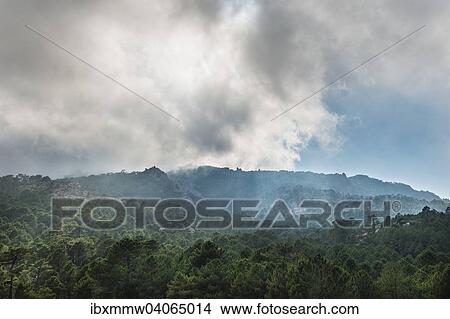 "Mountain landscape with dramatic clouds, Alta Rocca, L'Ospedale, Corsica, France, Europe" View Large Photo Image Picture - "Mountain landscape with dramatic clouds, Alta Rocca, L'Ospedale, Corsica, France, Europe". Fotosearch