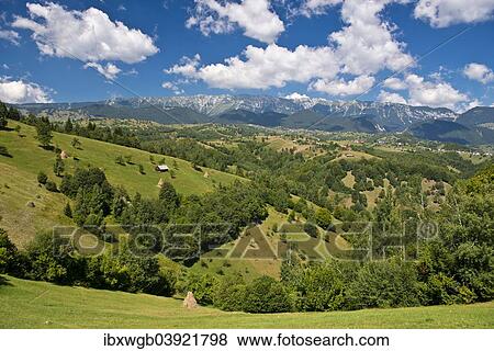 "Mountain landscape with meadows in front of mountains, Carpathians, Romania, Europe" View Large Photo Image Stock Photo - "Mountain landscape with meadows in front of mountains, Carpathians, Romania, Europe". Fotosearch