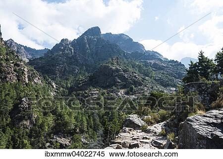 "Mountain landscape with trail, pine forest, Refuge de Carrozzu, Corsica, France, Europe" View Large Photo Image Stock Photography - "Mountain landscape with trail, pine forest, Refuge de Carrozzu, Corsica, France, Europe". Fotosearch