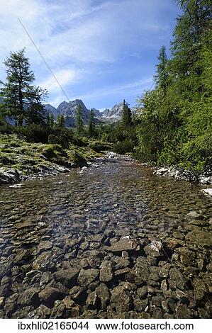 "Mountain stream in front of Mt Drachenkopf, Wetterstein mountain range, Tyrol, Austria, Europe, PublicGround, Europe" View Large Photo Image Picture - "Mountain stream in front of Mt Drachenkopf, Wetterstein mountain range, Tyrol, Austria, Europe, PublicGround, Europe". Fotosearch
