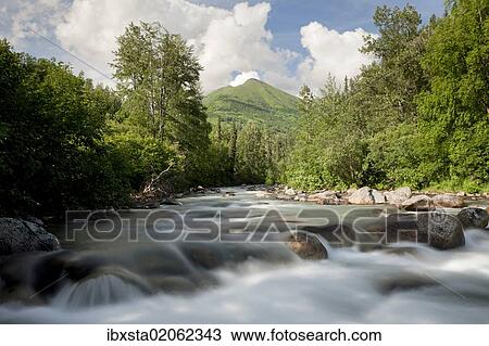 "Mountain stream in the Talkeetna Mountains, Alaska, USA, North America" View Large Photo Image Stock Image - "Mountain stream in the Talkeetna Mountains, Alaska, USA, North America". Fotosearch