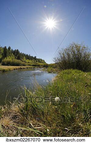"Mountain stream near Brian Head, Utah, USA" View Large Photo Image Stock Image - "Mountain stream near Brian Head, Utah, USA". Fotosearch