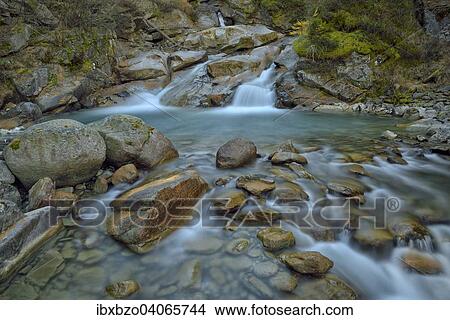 "Mountain stream with fallen larch needles on the stones, Gran Paradiso National Park, Valnontey, Piedmont, Italy, Europe" View Large Photo Image Picture - "Mountain stream with fallen larch needles on the stones, Gran Paradiso National Park, Valnontey, Piedmont, Italy, Europe". Fotosearch