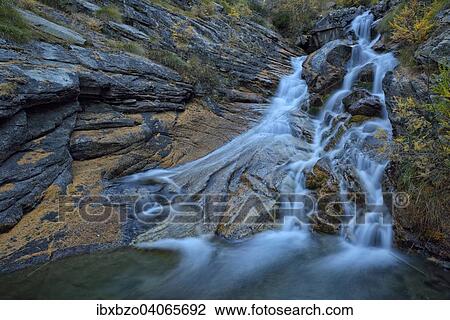 "Mountain stream with fallen larch needles on the stones, Gran Paradiso National Park, Valnontey, Piedmont, Italy, Europe" View Large Photo Image Stock Image - "Mountain stream with fallen larch needles on the stones, Gran Paradiso National Park, Valnontey, Piedmont, Italy, Europe". Fotosearch
