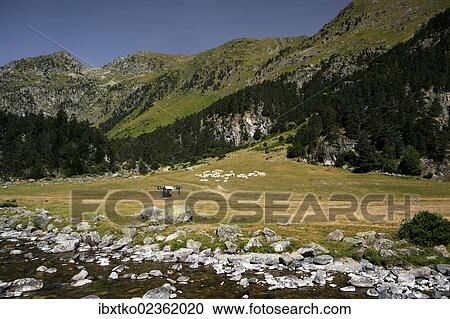 "Mountain torrent, landscape in the Pyrenees, French Pyrenees, national park near Argeles-Gazost, Midi-Pyrenees region, Hautes-Pyrenees departement, France, Europe" View Large Photo Image Stock Image - "Mountain torrent, landscape in the Pyrenees, French Pyrenees, national park near Argeles-Gazost, Midi-Pyrenees region, Hautes-Pyrenees departement, France, Europe". Fotosearch