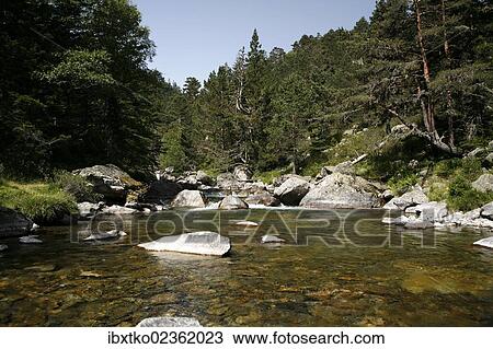 "Mountain torrent, landscape in the Pyrenees, French Pyrenees, national park near Argeles-Gazost, Midi-Pyrenees region, Hautes-Pyrenees departement, France, Europe" View Large Photo Image Stock Image - "Mountain torrent, landscape in the Pyrenees, French Pyrenees, national park near Argeles-Gazost, Midi-Pyrenees region, Hautes-Pyrenees departement, France, Europe". Fotosearch