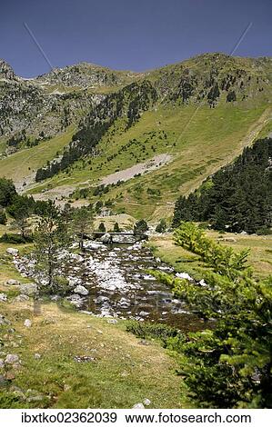 "Mountain torrent, landscape in the Pyrenees, French Pyrenees, national park near Argeles-Gazost, Midi-Pyrenees region, Hautes-Pyrenees departement, France, Europe" View Large Photo Image Stock Photo - "Mountain torrent, landscape in the Pyrenees, French Pyrenees, national park near Argeles-Gazost, Midi-Pyrenees region, Hautes-Pyrenees departement, France, Europe". Fotosearch
