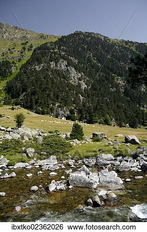"Mountain torrent, landscape in the Pyrenees, French Pyrenees, national park near Argeles-Gazost, Midi-Pyrenees region, Hautes-Pyrenees departement, France, Europe" View Large Photo Image Stock Photograph - "Mountain torrent, landscape in the Pyrenees, French Pyrenees, national park near Argeles-Gazost, Midi-Pyrenees region, Hautes-Pyrenees departement, France, Europe". Fotosearch