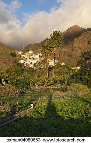 "Mountain village of La Calera, Valle Gran Rey, La Gomera, Canary Islands, Spain, Europe" View Large Photo Image Stock Image - "Mountain village of La Calera, Valle Gran Rey, La Gomera, Canary Islands, Spain, Europe". Fotosearch