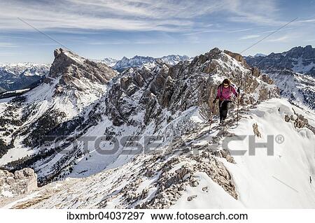 "Mountaineer, ascent to the Tullen on the Gunther Messner route in the Val di Funes, here on the summit ridge, behind Peiterkofel, Dolomites, Funes, Eisacktal, Province of South Tyrol, Trentino-Alto Adige, Italy, Europe" View Large Photo Image Stock Photo - "Mountaineer, ascent to the Tullen on the Gunther Messner route in the Val di Funes, here on the summit ridge, behind Peiterkofel, Dolomites, Funes, Eisacktal, Province of South Tyrol, Trentino-Alto Adige, Italy, Europe". Fotosearch