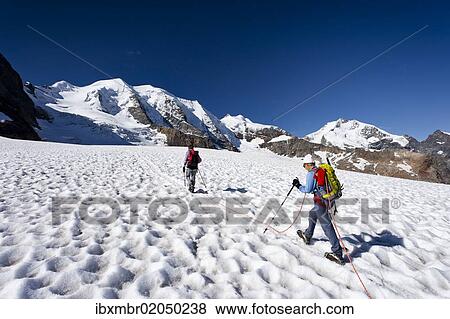 "Mountaineers during the ascent to Mt Piz Palue on Pers Glacier, Mt Piz Palue at back, Mt Bellavista and Mt Piz Bernina with Biancograt ridge, left, Grisons, Switzerland, Europe" View Large Photo Image Stock Photo - "Mountaineers during the ascent to Mt Piz Palue on Pers Glacier, Mt Piz Palue at back, Mt Bellavista and Mt Piz Bernina with Biancograt ridge, left, Grisons, Switzerland, Europe". Fotosearch