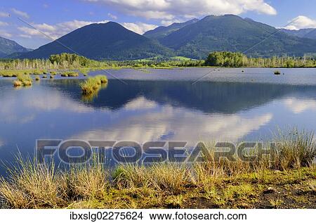 "Mountains and clouds being reflected in a pond in a basin bog area, prealpine lands, Nicklheim, Bavaria, Germany, Europe" View Large Photo Image Picture - "Mountains and clouds being reflected in a pond in a basin bog area, prealpine lands, Nicklheim, Bavaria, Germany, Europe". Fotosearch