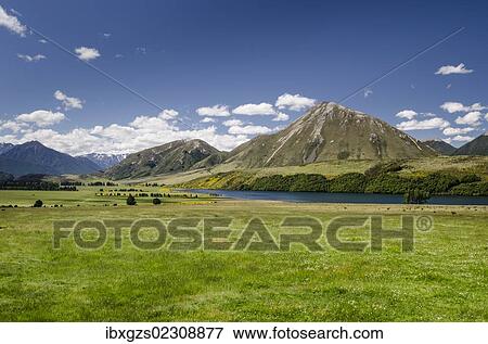"Mountains and meadows, Craigieburn Range, Porters Pass, Canterbury, South Island, New Zealand, Oceania" View Large Photo Image Stock Photo - "Mountains and meadows, Craigieburn Range, Porters Pass, Canterbury, South Island, New Zealand, Oceania". Fotosearch
